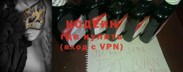 шишки Аркадак
