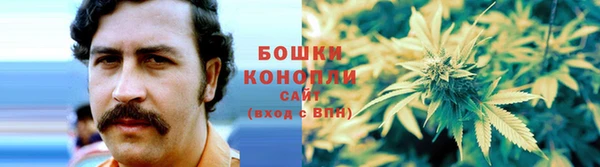 шишки Аркадак