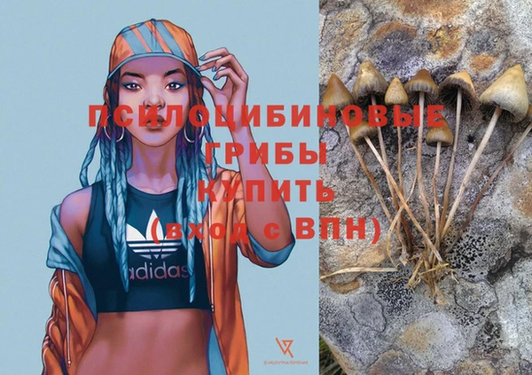 шишки Аркадак