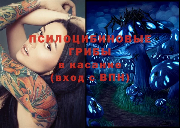 шишки Аркадак