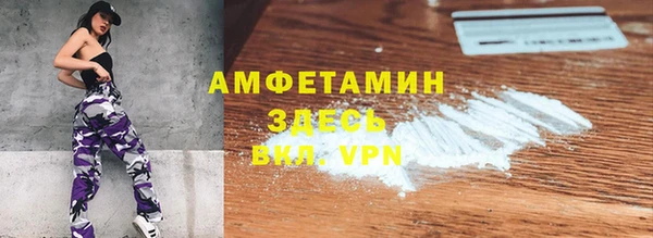 шишки Аркадак