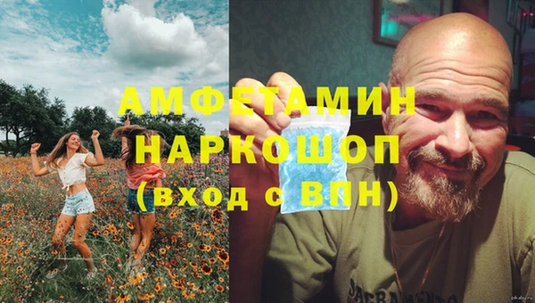 шишки Аркадак